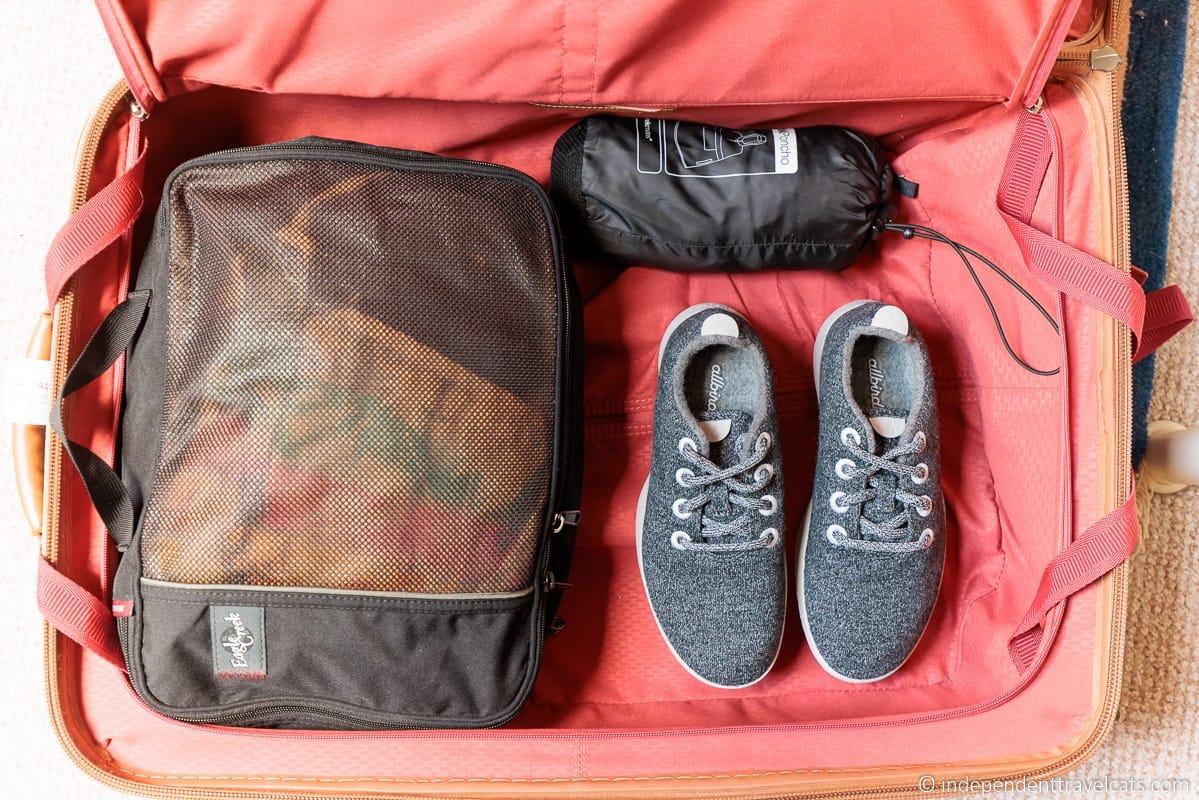Allbirds shoes review Allbirds shoes for travel packing shoes in suitcase