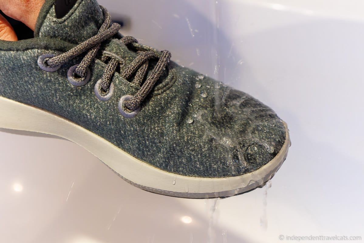 Allbirds Review: The Best Shoes for Travel? - Independent Travel Cats