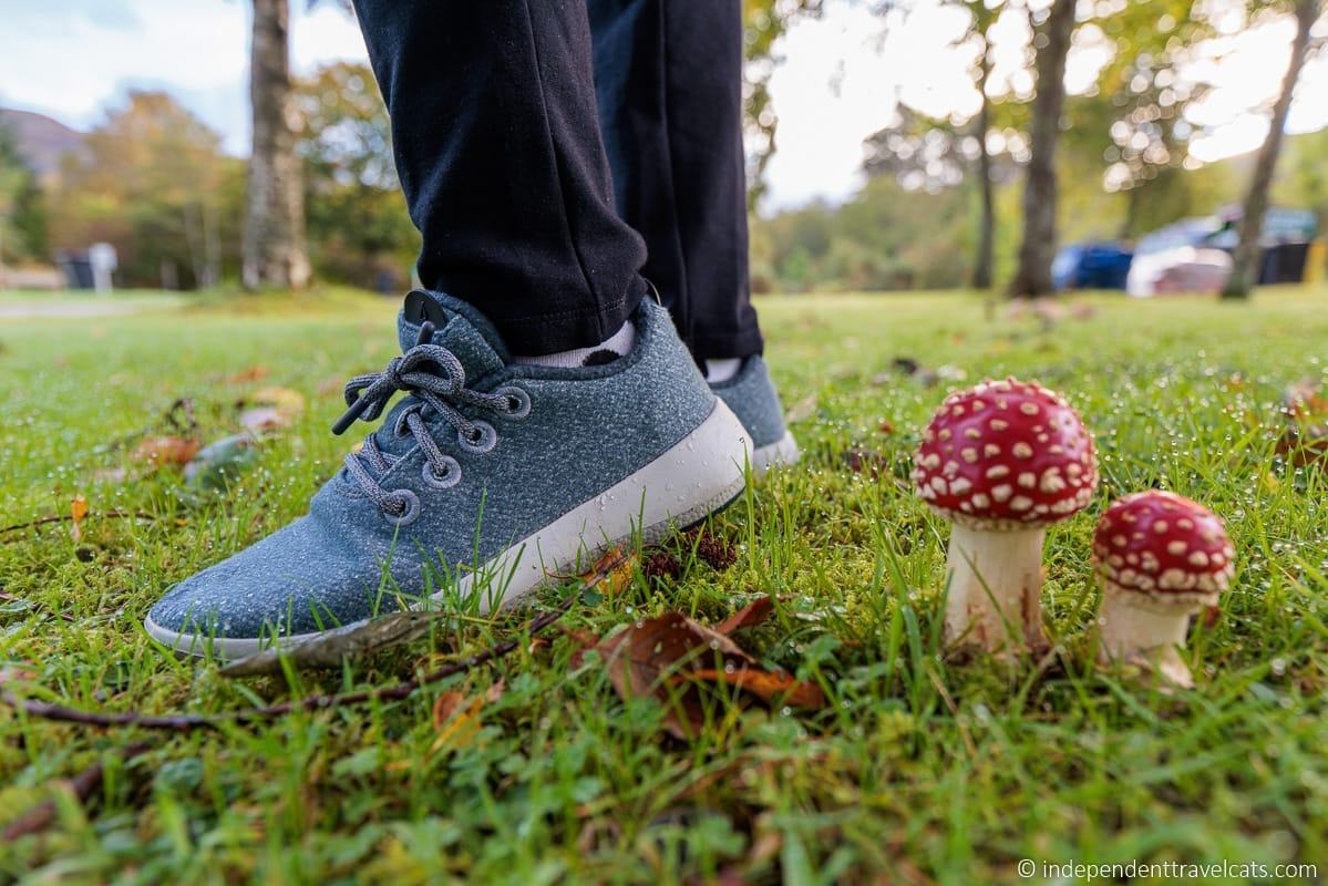 Are Allbirds Good for Walking, Comfortable and Vegan? And Other Questions  Answered