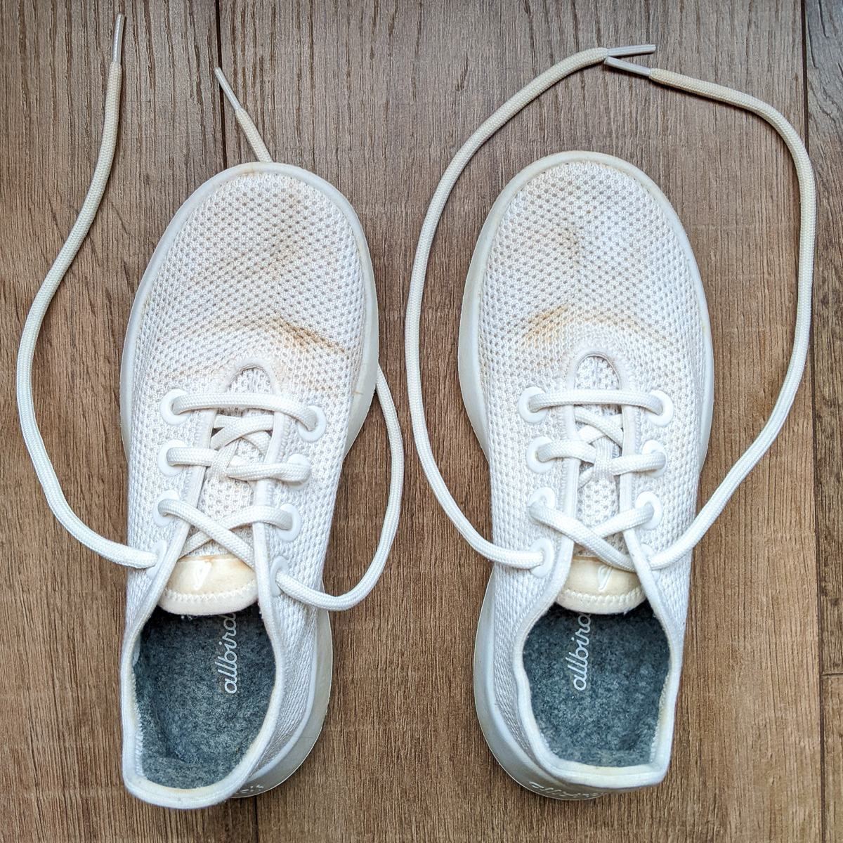 Best way to hot sale clean allbirds