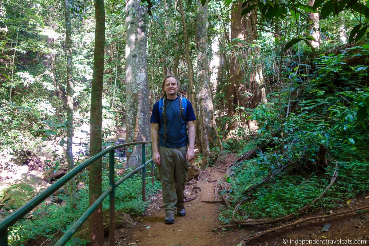 Karura Forest hiking things to do in Nairobi Kenya travel guide