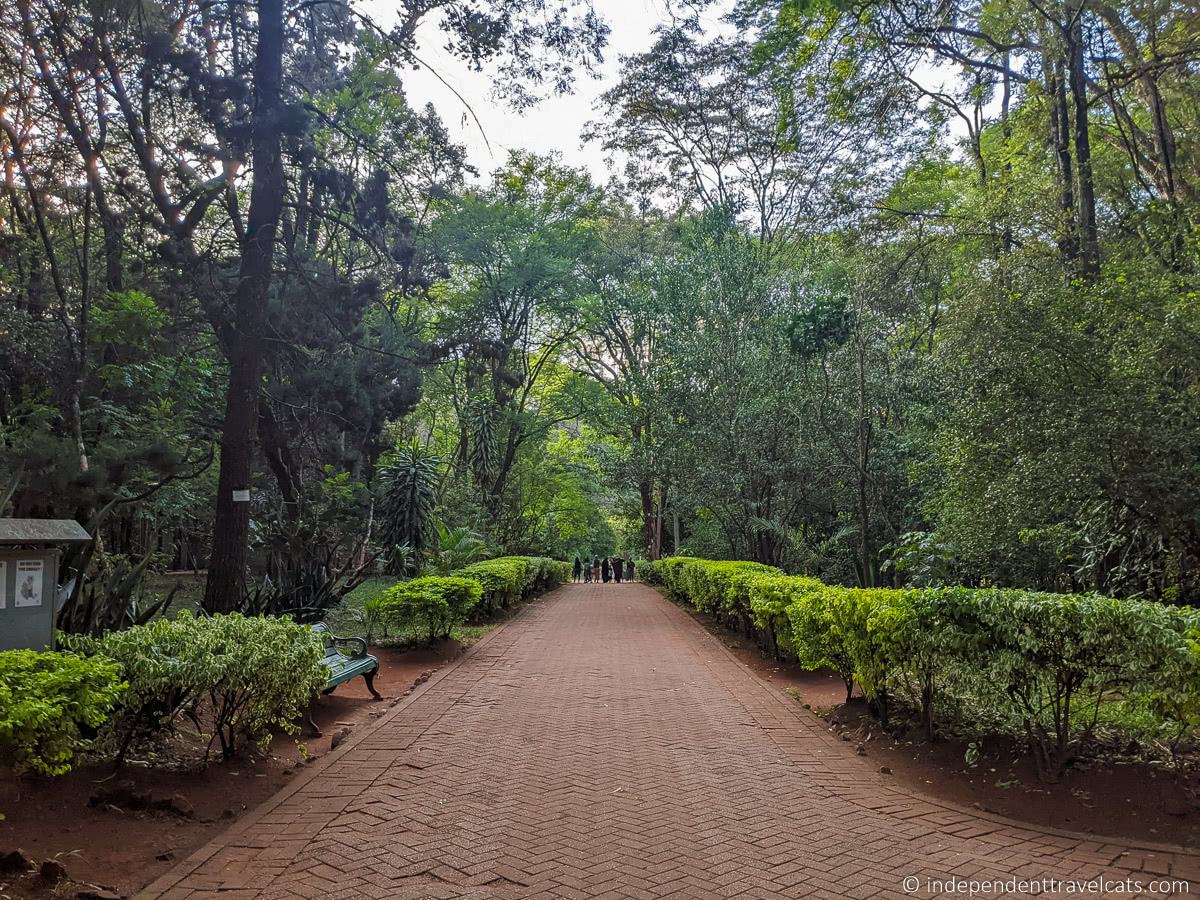 Nairobi Arboretum Top Things to do in Nairobi Kenya