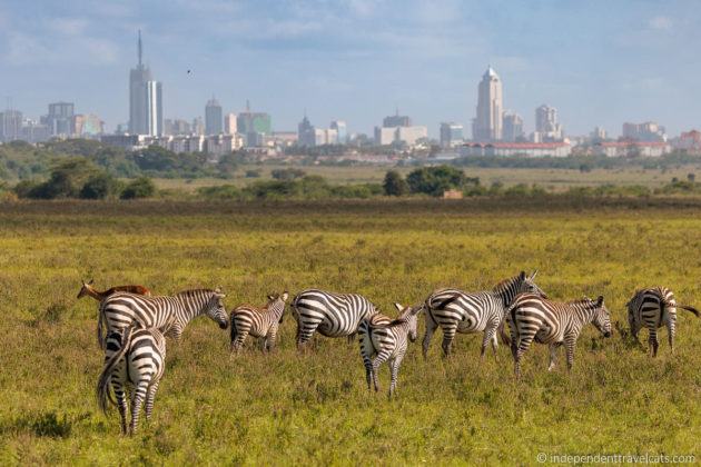 Nairobi Travel Guide: 24 Top Things to do in Nairobi Kenya ...