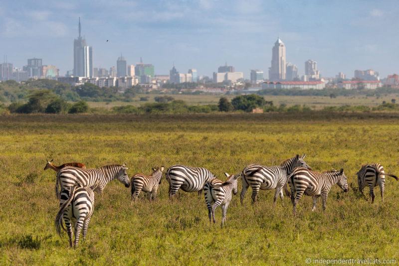 1 Day Nairobi Itinerary: How to Spend a Day in Nairobi Kenya